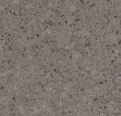 Линолеум Forbo Eternal Material 12012 quartz stone фото 1 | FLOORDEALER
